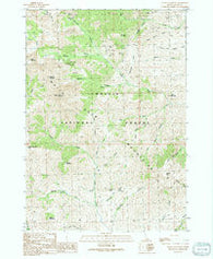 Shelly Mountain Idaho Historical topographic map, 1:24000 scale, 7.5 X 7.5 Minute, Year 1991