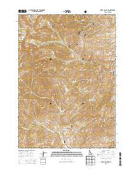 Shelly Mountain Idaho Current topographic map, 1:24000 scale, 7.5 X 7.5 Minute, Year 2013