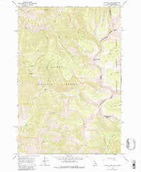 Shewag Lake Idaho Historical topographic map, 1:24000 scale, 7.5 X 7.5 Minute, Year 1966