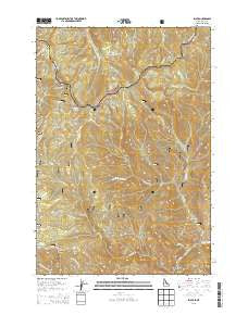 Shoup Idaho Current topographic map, 1:24000 scale, 7.5 X 7.5 Minute, Year 2013