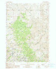 Silver City Idaho Historical topographic map, 1:24000 scale, 7.5 X 7.5 Minute, Year 1990