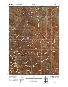 Silver City Idaho Historical topographic map, 1:24000 scale, 7.5 X 7.5 Minute, Year 2010