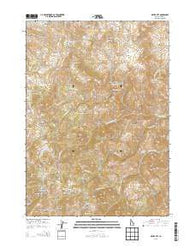 Silver City Idaho Current topographic map, 1:24000 scale, 7.5 X 7.5 Minute, Year 2013