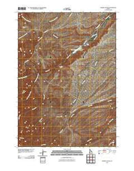 Sinker Canyon Idaho Historical topographic map, 1:24000 scale, 7.5 X 7.5 Minute, Year 2010