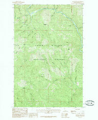 Skitwish Peak Idaho Historical topographic map, 1:24000 scale, 7.5 X 7.5 Minute, Year 1985
