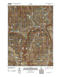 Slack Mountain Idaho Historical topographic map, 1:24000 scale, 7.5 X 7.5 Minute, Year 2010