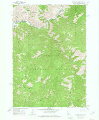 Sliderock Ridge Idaho Historical topographic map, 1:24000 scale, 7.5 X 7.5 Minute, Year 1963