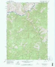 Sliderock Ridge Idaho Historical topographic map, 1:24000 scale, 7.5 X 7.5 Minute, Year 1963
