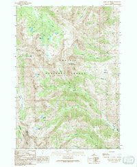 Smiley Mountain Idaho Historical topographic map, 1:24000 scale, 7.5 X 7.5 Minute, Year 1991