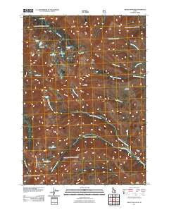 Smiley Mountain Idaho Historical topographic map, 1:24000 scale, 7.5 X 7.5 Minute, Year 2011