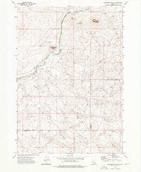 Snowshoe Butte Idaho Historical topographic map, 1:24000 scale, 7.5 X 7.5 Minute, Year 1972