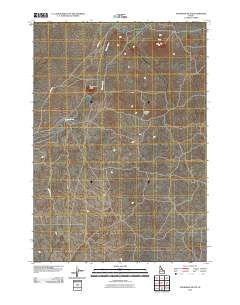 Snowshoe Butte Idaho Historical topographic map, 1:24000 scale, 7.5 X 7.5 Minute, Year 2010
