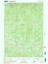 Soldier Creek Idaho Historical topographic map, 1:24000 scale, 7.5 X 7.5 Minute, Year 1990