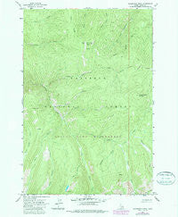 Sourdough Peak Idaho Historical topographic map, 1:24000 scale, 7.5 X 7.5 Minute, Year 1963