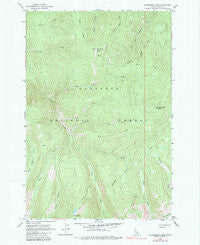 Sourdough Peak Idaho Historical topographic map, 1:24000 scale, 7.5 X 7.5 Minute, Year 1963