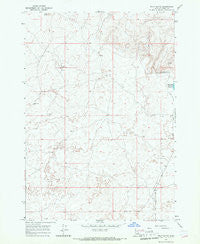 Split Butte Idaho Historical topographic map, 1:24000 scale, 7.5 X 7.5 Minute, Year 1965