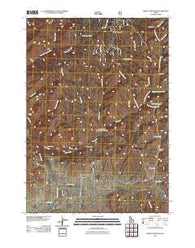 Sprout Mountain Idaho Historical topographic map, 1:24000 scale, 7.5 X 7.5 Minute, Year 2011