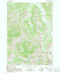 Star Hope Mine Idaho Historical topographic map, 1:24000 scale, 7.5 X 7.5 Minute, Year 1991