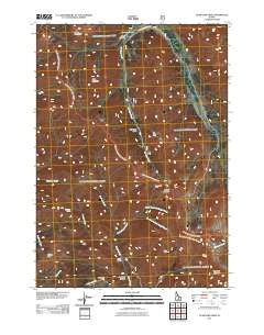 Star Hope Mine Idaho Historical topographic map, 1:24000 scale, 7.5 X 7.5 Minute, Year 2011