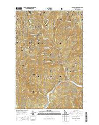 Steamboat Creek Idaho Current topographic map, 1:24000 scale, 7.5 X 7.5 Minute, Year 2014