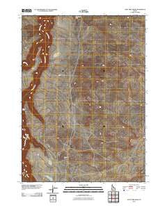 Stiff Tree Draw Idaho Historical topographic map, 1:24000 scale, 7.5 X 7.5 Minute, Year 2010