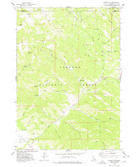 Stouts Mtn Idaho Historical topographic map, 1:24000 scale, 7.5 X 7.5 Minute, Year 1977