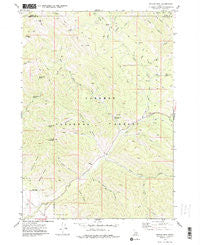 Stouts Mtn Idaho Historical topographic map, 1:24000 scale, 7.5 X 7.5 Minute, Year 1977