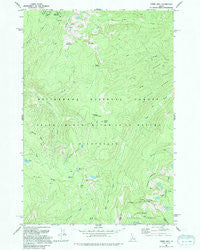 Stripe Mountain Idaho Historical topographic map, 1:24000 scale, 7.5 X 7.5 Minute, Year 1991