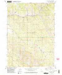 Stump Peak Idaho Historical topographic map, 1:24000 scale, 7.5 X 7.5 Minute, Year 1980