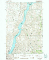 Sturgill Creek Idaho Historical topographic map, 1:24000 scale, 7.5 X 7.5 Minute, Year 1987