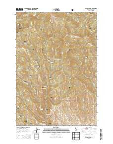 Sturgill Peak Idaho Current topographic map, 1:24000 scale, 7.5 X 7.5 Minute, Year 2013