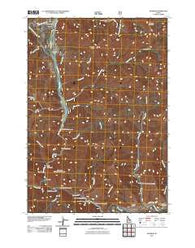 Sunbeam Idaho Historical topographic map, 1:24000 scale, 7.5 X 7.5 Minute, Year 2011