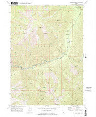 Swanholm Peak Idaho Historical topographic map, 1:24000 scale, 7.5 X 7.5 Minute, Year 1972