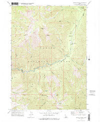Swanholm Peak Idaho Historical topographic map, 1:24000 scale, 7.5 X 7.5 Minute, Year 1972