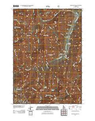 Swanholm Peak Idaho Historical topographic map, 1:24000 scale, 7.5 X 7.5 Minute, Year 2011