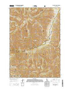 Swanholm Peak Idaho Current topographic map, 1:24000 scale, 7.5 X 7.5 Minute, Year 2013