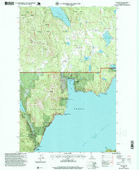 Talache Idaho Historical topographic map, 1:24000 scale, 7.5 X 7.5 Minute, Year 1996