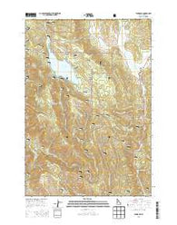 Tamarack Idaho Current topographic map, 1:24000 scale, 7.5 X 7.5 Minute, Year 2013