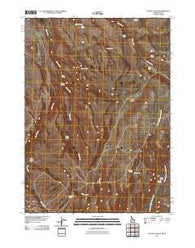 Taylor Canyon Idaho Historical topographic map, 1:24000 scale, 7.5 X 7.5 Minute, Year 2010