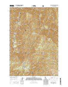Teapot Mountain Idaho Current topographic map, 1:24000 scale, 7.5 X 7.5 Minute, Year 2013