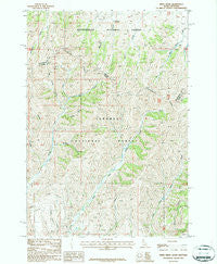 Tepee Draw Idaho Historical topographic map, 1:24000 scale, 7.5 X 7.5 Minute, Year 1987