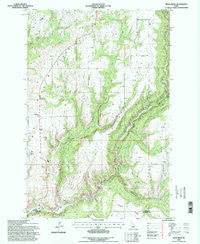 Texas Ridge Idaho Historical topographic map, 1:24000 scale, 7.5 X 7.5 Minute, Year 1994