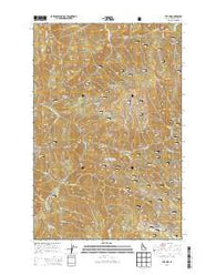 The Nub Idaho Current topographic map, 1:24000 scale, 7.5 X 7.5 Minute, Year 2013
