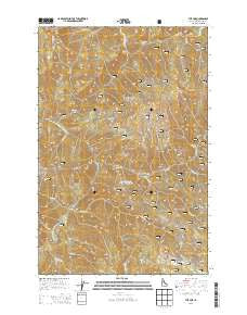 The Nub Idaho Current topographic map, 1:24000 scale, 7.5 X 7.5 Minute, Year 2013