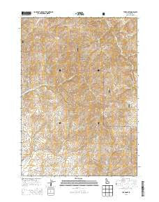 The Roost Idaho Current topographic map, 1:24000 scale, 7.5 X 7.5 Minute, Year 2013