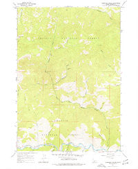 Thompson Creek Idaho Historical topographic map, 1:24000 scale, 7.5 X 7.5 Minute, Year 1964