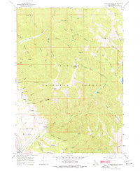 Thompson Peak Idaho Historical topographic map, 1:24000 scale, 7.5 X 7.5 Minute, Year 1966