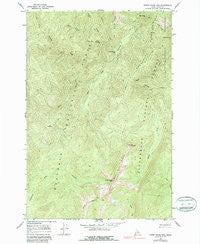 Three Prong Mountain Idaho Historical topographic map, 1:24000 scale, 7.5 X 7.5 Minute, Year 1966