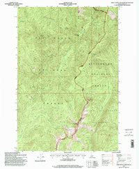 Three Prong Mountain Idaho Historical topographic map, 1:24000 scale, 7.5 X 7.5 Minute, Year 1995