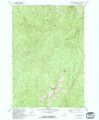 Three Prong Mtn Idaho Historical topographic map, 1:24000 scale, 7.5 X 7.5 Minute, Year 1991